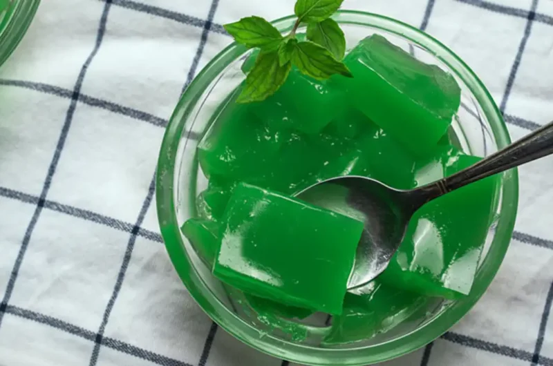 Dr. Jennifer Ashton Jello Diet Recipe for Weight Loss!